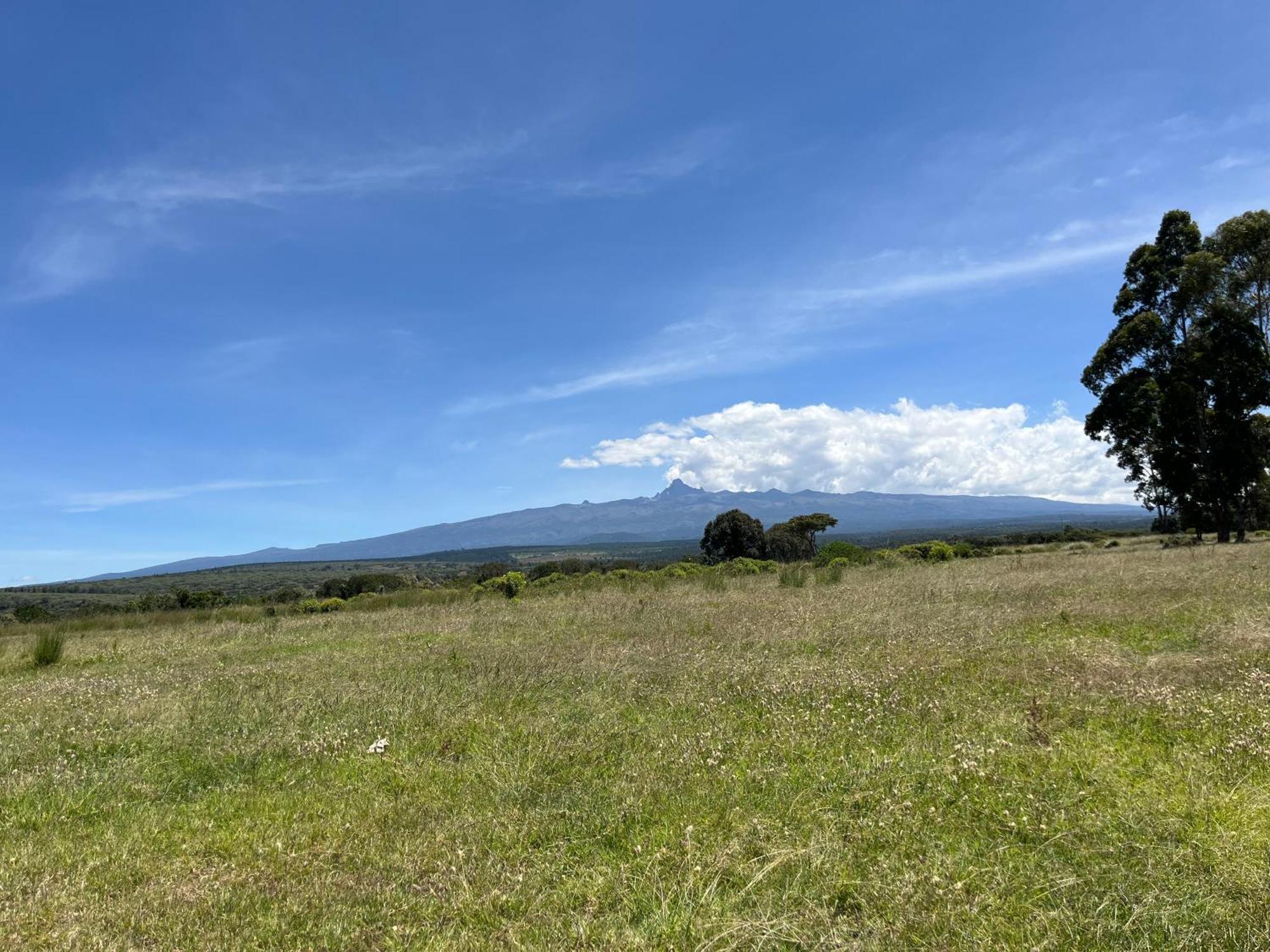 Rafiki House Hotel Nanyuki Bagian luar foto