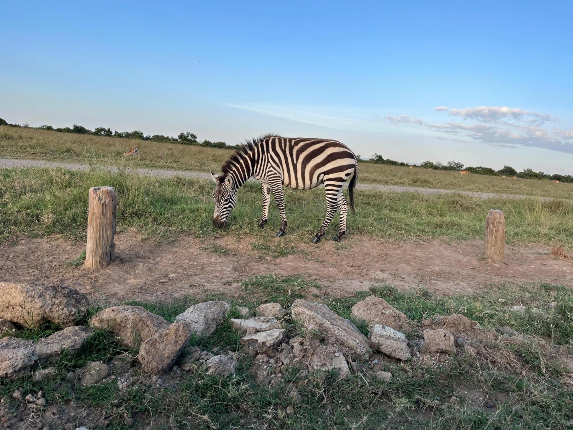 Rafiki House Hotel Nanyuki Bagian luar foto